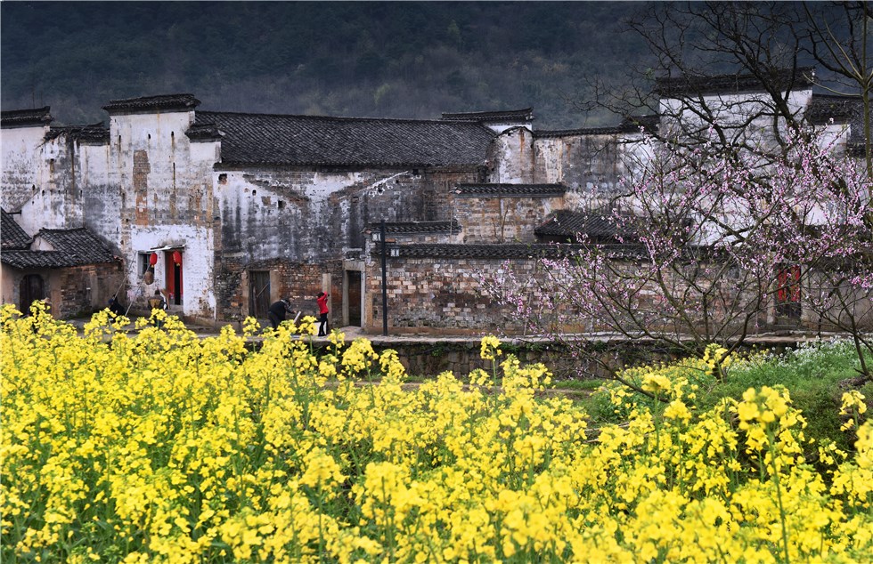 古鎮(zhèn)春景